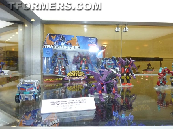 Transformers=botcon 2013 Generatations Prime Paltinum  (374 of 424)